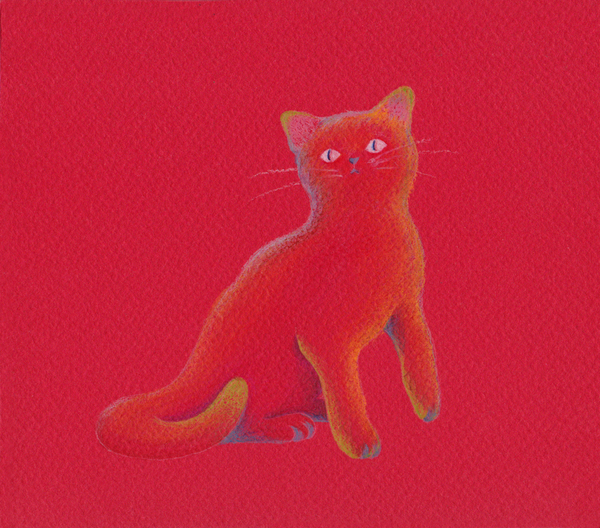 虹色猫
