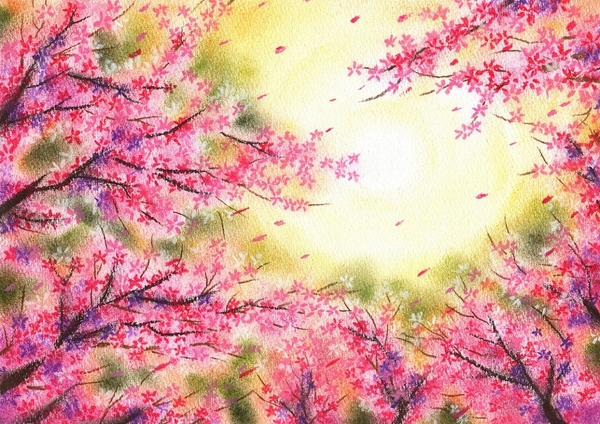 桜日和