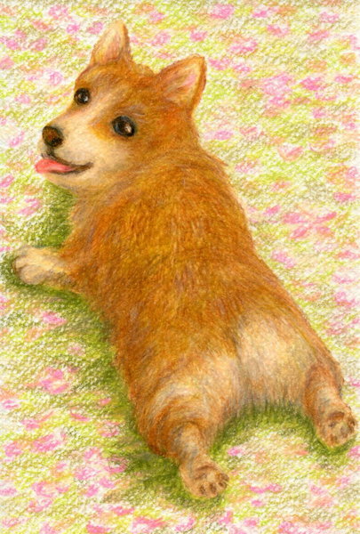 ごろん