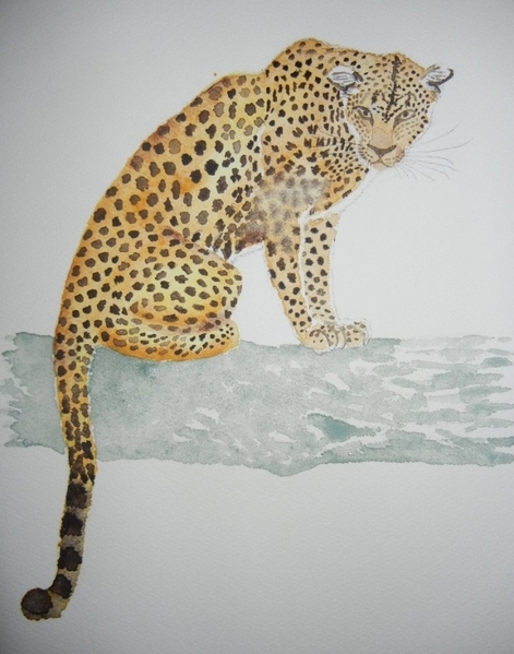 特別オファー ヒョウ 絵画 - 絵画/タペストリ