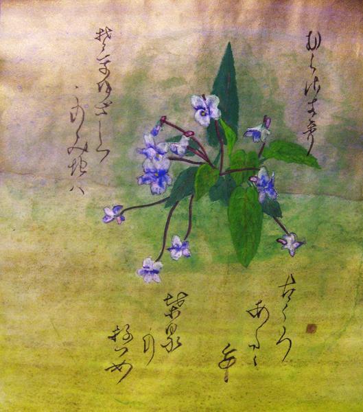すみれぐさ