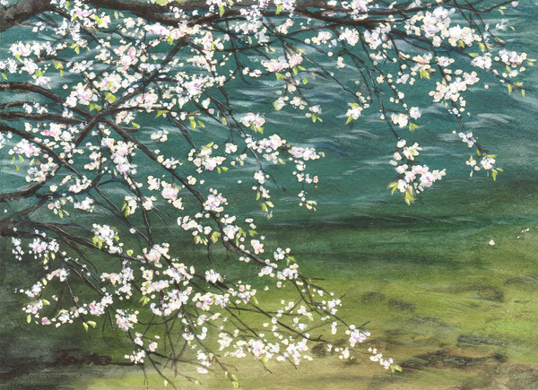 川面