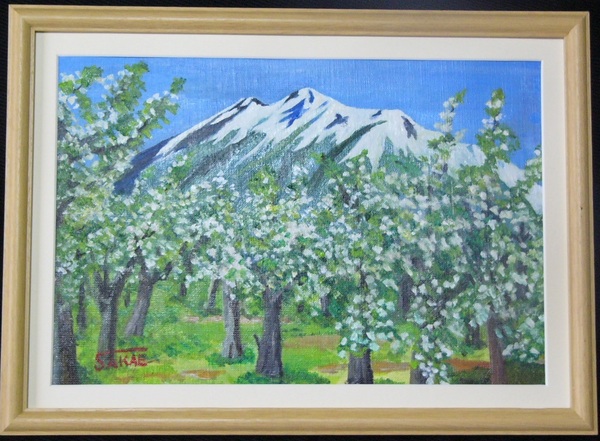 りんごの花咲く岩木山