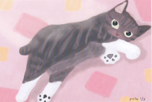 グーパー猫(1/3)