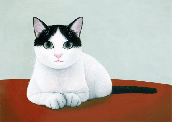 白黒の猫