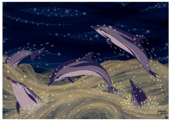 星の海