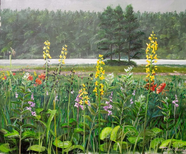 湿原の夏パステル画