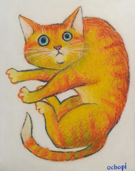 びっくりネコ