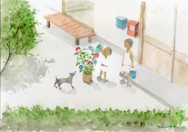 夏休物語(あさがおの水やり)