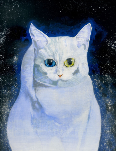 オッドアイ
