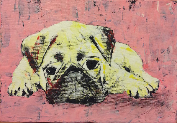 Pug