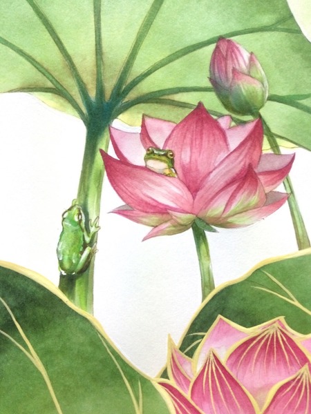 蓮にカエル」 by 一条かづき|Artmeter|暮らしを彩るアートが 蓮にカエル」 by 一条かづき|Artmeter|暮らしを彩るアートが