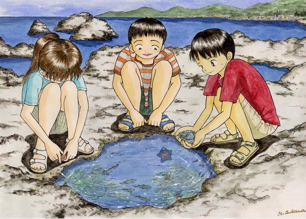 イラスト画 タイドプールで遊ぶ子供たち 及川 稔 Art Meter