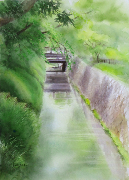 京都 北白川疎水