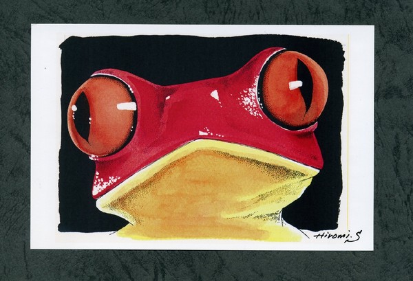 イラスト画 かえる しばた洋美 Art Meter