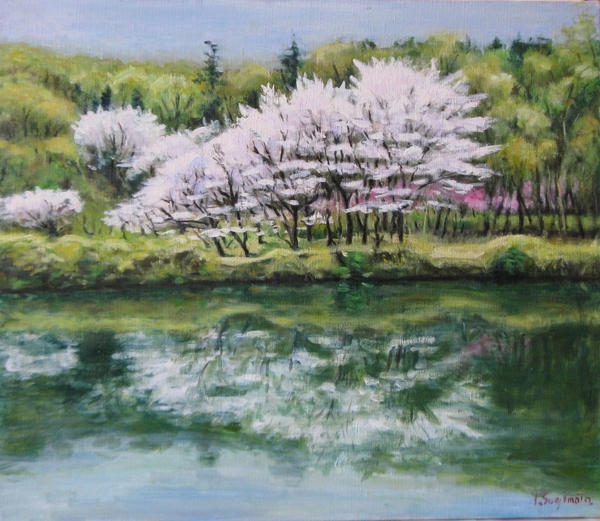 桜と池