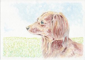 作品名:「Dog and green」 画家名:「白石 優」 コメント:「草原で遠くを見る犬を描いてみました。優しい表情が描けたなと思っています。」 ART-Meter
