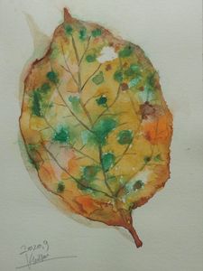 作品名:「落ち葉(柿)」 画家名:「kt'bird」 コメント:「緑とオレンジイエロー・オーカー

いろいろなシミが美しい落ち葉。」 ART-Meter