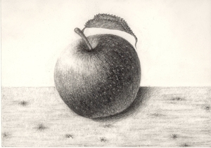 作品名:「机上のリンゴ」 画家名:「奈加山 八寸枝」 コメント:「葉付きの果物が好きで、葉付きのリンゴが鮮度も良く美しかったので思わずデッサンしました。」 ART-Meter
