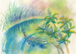 作品名:「沼の主」 画家名:「稲垣久美子」 コメント:「ある森の中に沼がありました。そこにいつごろからか一匹の魚が住みつきました。時と共にどんどん大きくなり、主になりました。」 ART-Meter