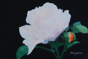 作品名:「花 (Ⅰ)」 画家名:「林 繁」 コメント:「ピンクの花をバックを黒くして色彩を目立つように表現しました。」 ART-Meter