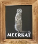 「MEERKAT」