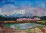 富士山・春