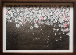 Sakura / 桜の額入り作品