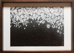 Sakura / 夜桜の額入り作品