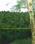 静かな湖
