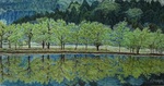 静かな湖畔