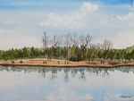 公園風景