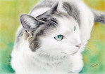 Green eyes