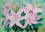 百合の花
