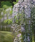 藤の花