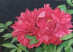 華