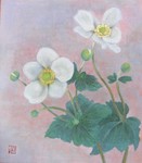 秋明菊