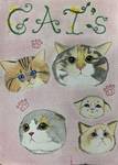 CAT'S.