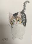 ねこ。