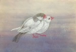 文鳥