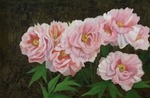 華くらべ