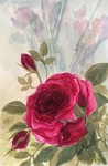 薔薇