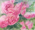 薔薇4