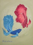 betta 5