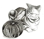 猫とカボチャ
