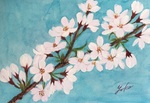 桜1