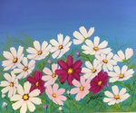 秋桜3