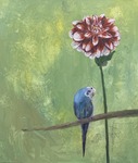 Flower7