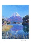 田貫湖富士(1/10)