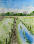 風景画 沼